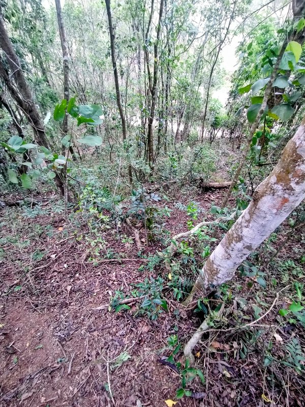 Ótimo terreno à venda no bairro do Pinhal  Santa Isabel - 