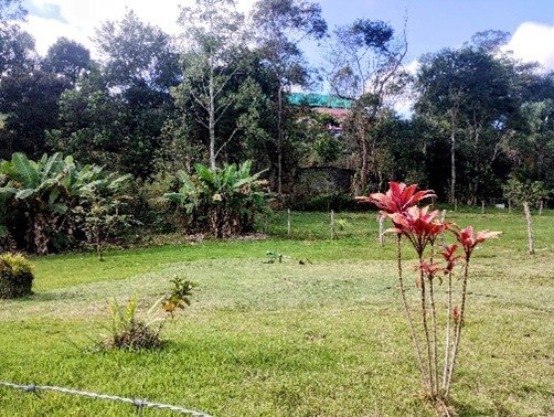 Terreno com excelente topografia à venda no bairro Boa Vista  Igaratá - 