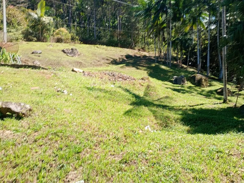 Sitio em Nova Treno Sc Estrada Geral Ribeirão do Bilu Nova Tentro - 