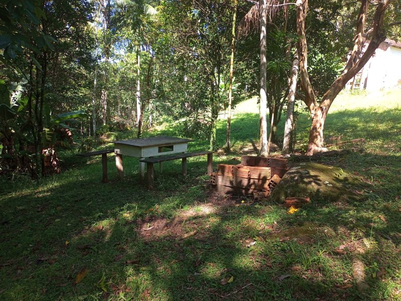 Sitio em Nova Treno Sc Estrada Geral Ribeirão do Bilu Nova Tentro - 