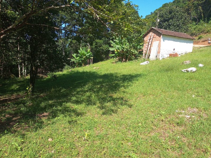 Sitio em Nova Treno Sc Estrada Geral Ribeirão do Bilu Nova Tentro - 