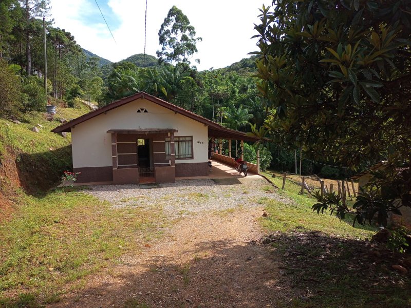 Sitio em Nova Treno Sc Estrada Geral Ribeirão do Bilu Nova Tentro - 