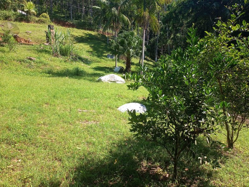 Sitio em Nova Treno Sc Estrada Geral Ribeirão do Bilu Nova Tentro - 