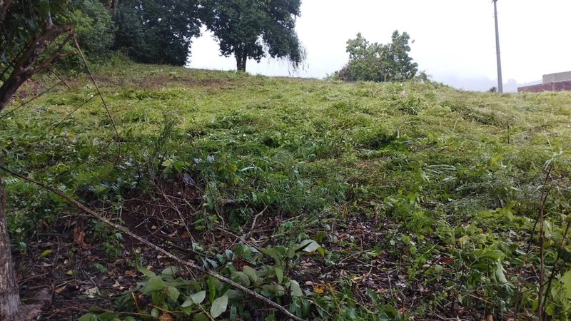 ✔️ Lindo terreno em S&atilde;o Jos&eacute; do Hort&ecirc;ncio  SAO JOSE DO HORTENCIO - 