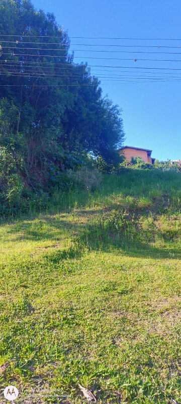 ✔️ Excelente terreno para investimento!  Picada Café - 