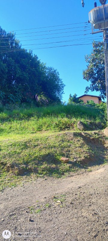 ✔️ Excelente terreno para investimento!  Picada Café - 