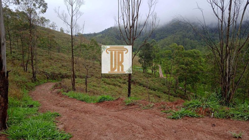 Sitio de 24 hectares em Taubaté - SP  Taubaté - 
