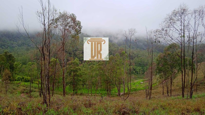 Sitio de 24 hectares em Taubaté - SP  Taubaté - 