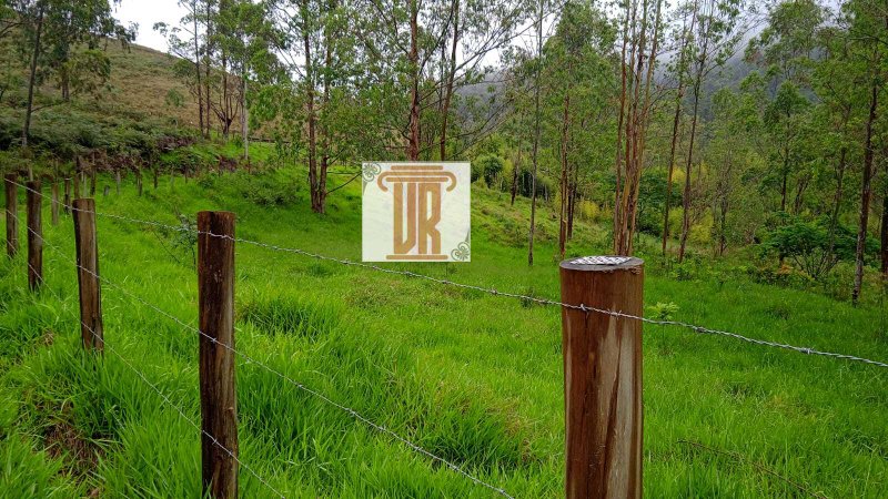 Sitio de 24 hectares em Taubaté - SP  Taubaté - 