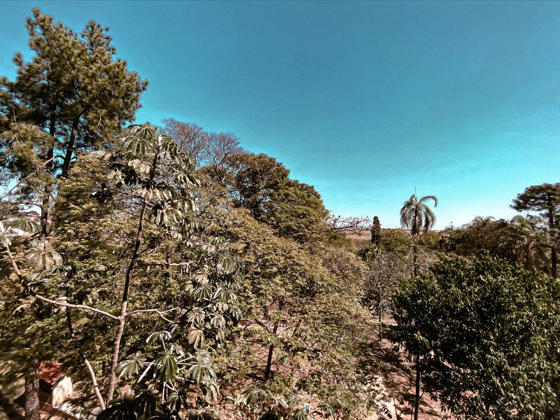 Apartamento à Venda no Condomínio Vivenda Girasol – Hortolândia Rua Manoel João da Silva Hortolândia - 