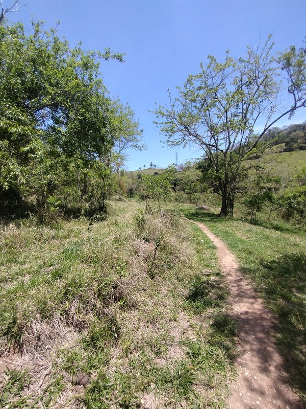 Terreno com ótima topografia no bairro do Pinhal  Jacareí - 