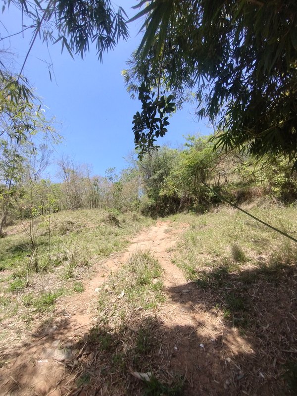 Terreno com ótima topografia no bairro do Pinhal  Jacareí - 
