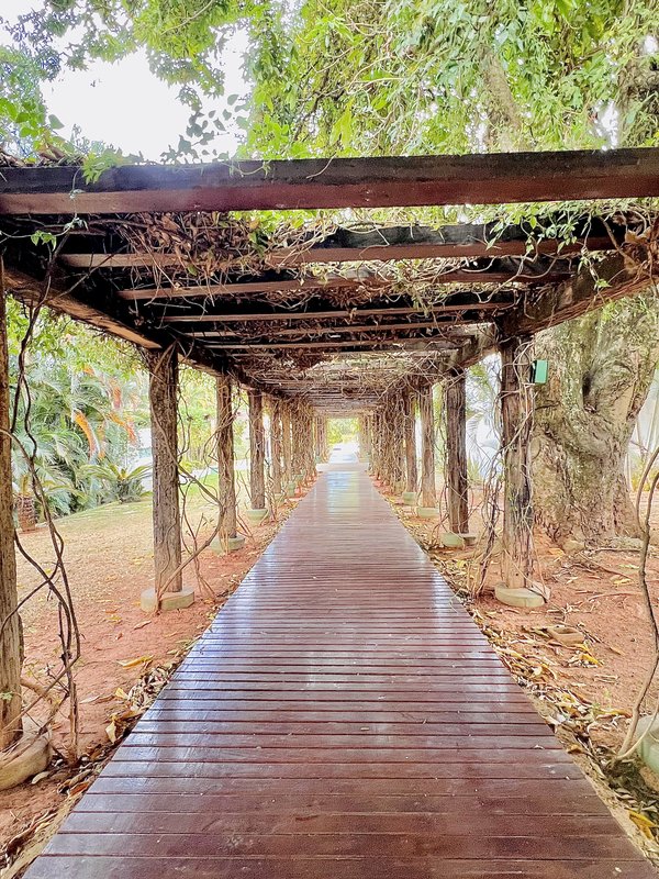 Lote Plano à Venda – Rua da Capela, Condomínio Fazenda Alvorada | Porto Feliz/SP ALAMEDA COPAÍBA PORTO FELIZ - 