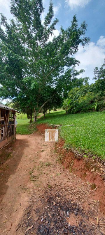 Área rural de 23.600m em Paraibuna -SP  Paraibuna - 