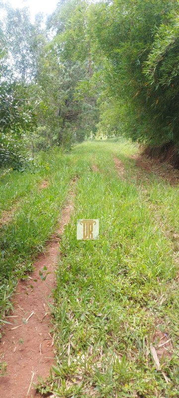 Área rural de 23.600m em Paraibuna -SP  Paraibuna - 
