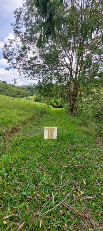 Área rural de 23.600m em Paraibuna -SP  Paraibuna - 