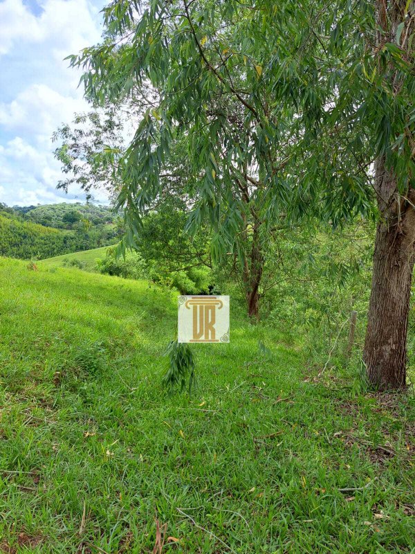 Área rural de 23.600m em Paraibuna -SP  Paraibuna - 