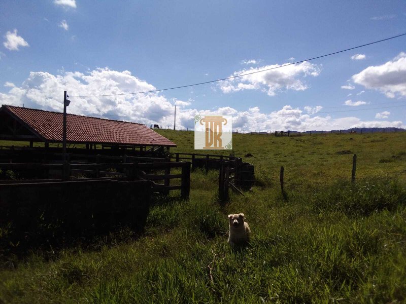 Sítio com 3 alqueires em Caçapava - SP  Caçapava - 
