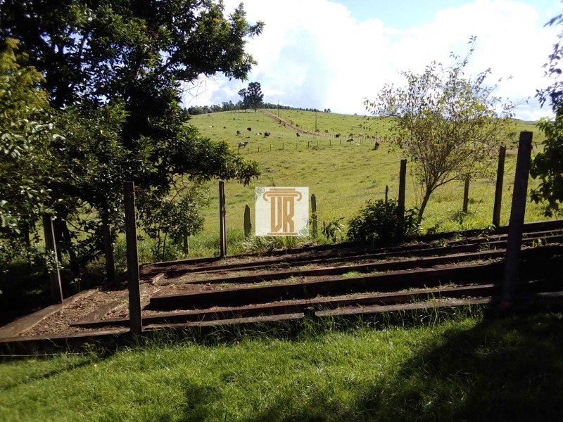 Sítio com 3 alqueires em Caçapava - SP  Caçapava - 