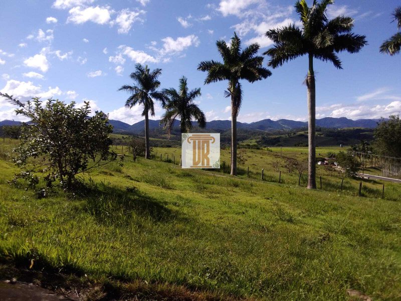 Sítio com 3 alqueires em Caçapava - SP  Caçapava - 