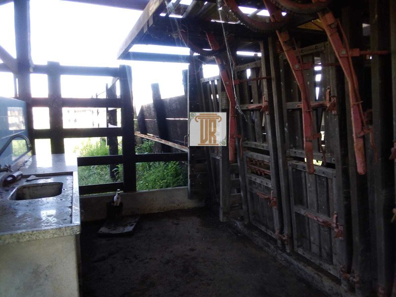 Sítio com 3 alqueires em Caçapava - SP  Caçapava - 