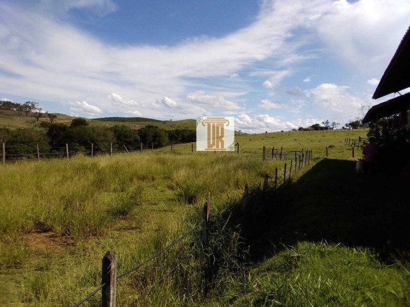 Sítio com 3 alqueires em Caçapava - SP  Caçapava - 