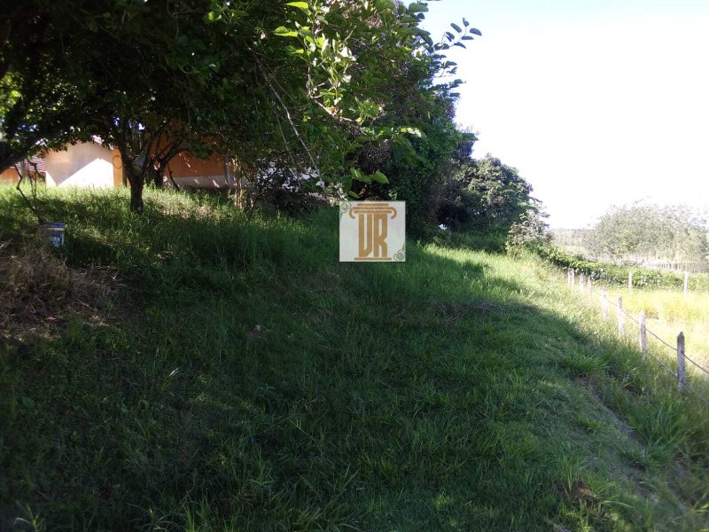 Sítio com 3 alqueires em Caçapava - SP  Caçapava - 