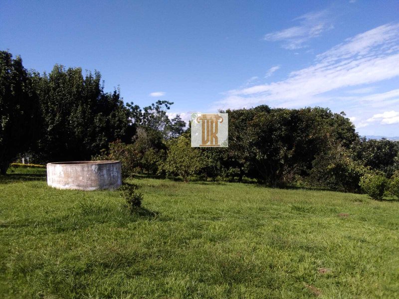 Sítio com 3 alqueires em Caçapava - SP  Caçapava - 