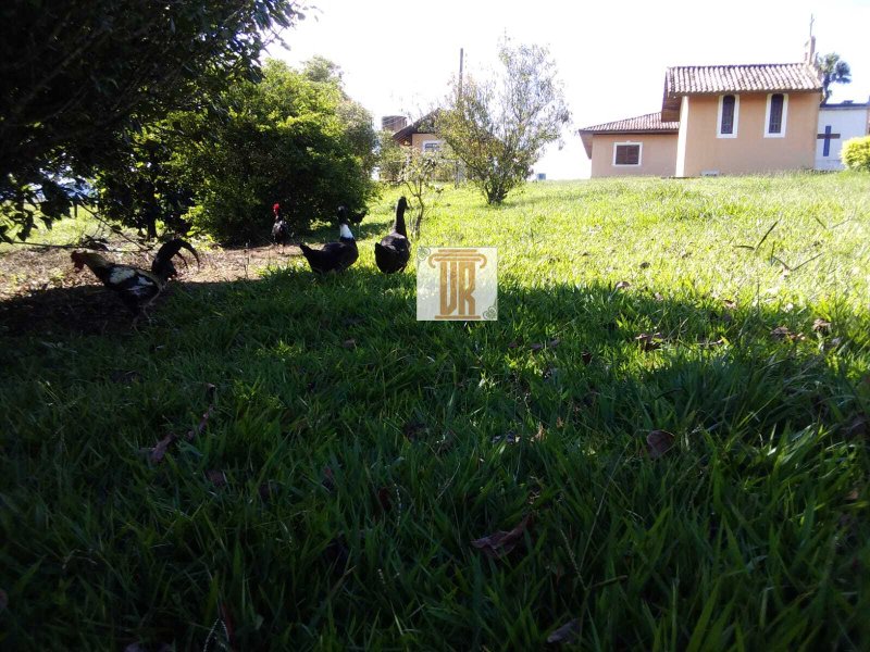 Sítio com 3 alqueires em Caçapava - SP  Caçapava - 