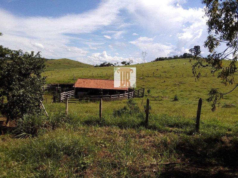 Sítio com 3 alqueires em Caçapava - SP  Caçapava - 