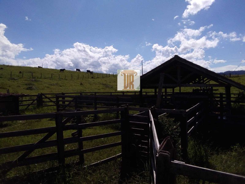 Sítio com 3 alqueires em Caçapava - SP  Caçapava - 