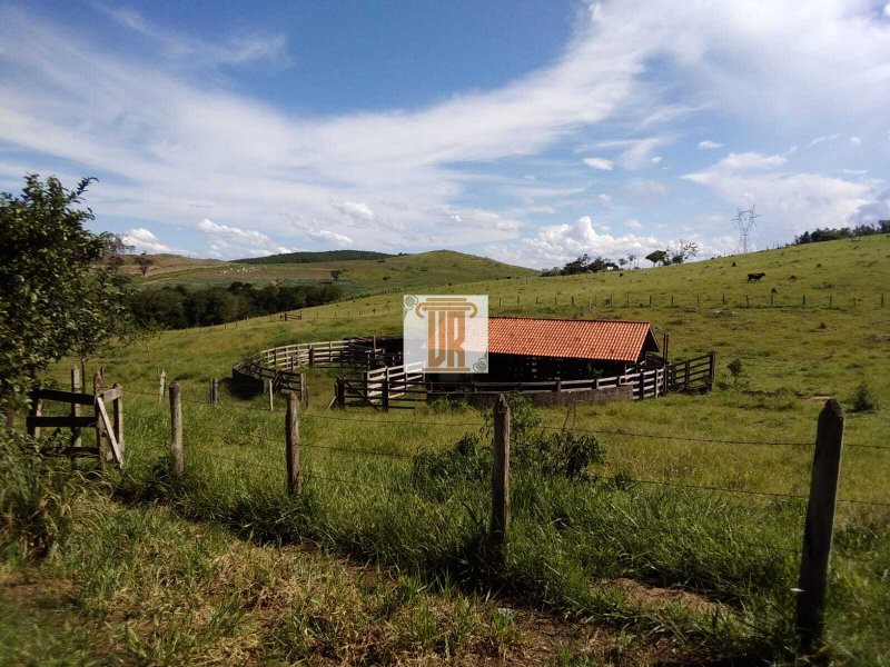 Sítio com 3 alqueires em Caçapava - SP  Caçapava - 