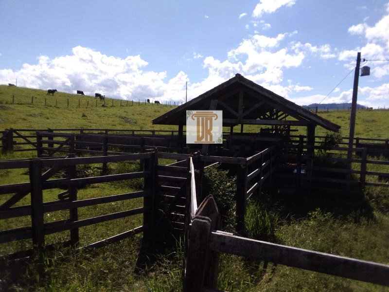 Sítio com 3 alqueires em Caçapava - SP  Caçapava - 