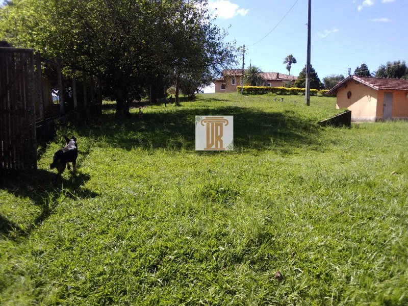 Sítio com 3 alqueires em Caçapava - SP  Caçapava - 