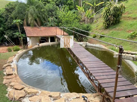 Chácara com 16.000m² em Monteiro Lobato - SP  MONTEIRO LOBATO - 