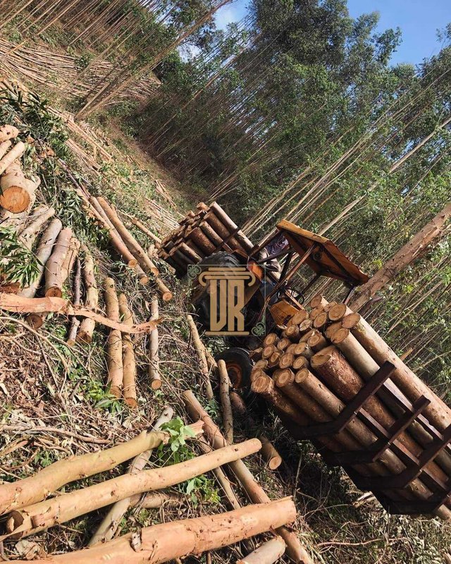 Sitio de 22 alqueires em Salesópolis - SP  Salesópolis - 