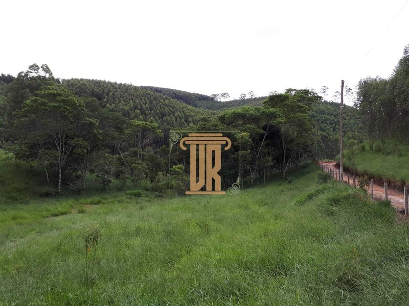 Sitio de 22 alqueires em Salesópolis - SP  Salesópolis - 