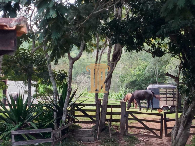 Sitio de 22 alqueires em Salesópolis - SP  Salesópolis - 