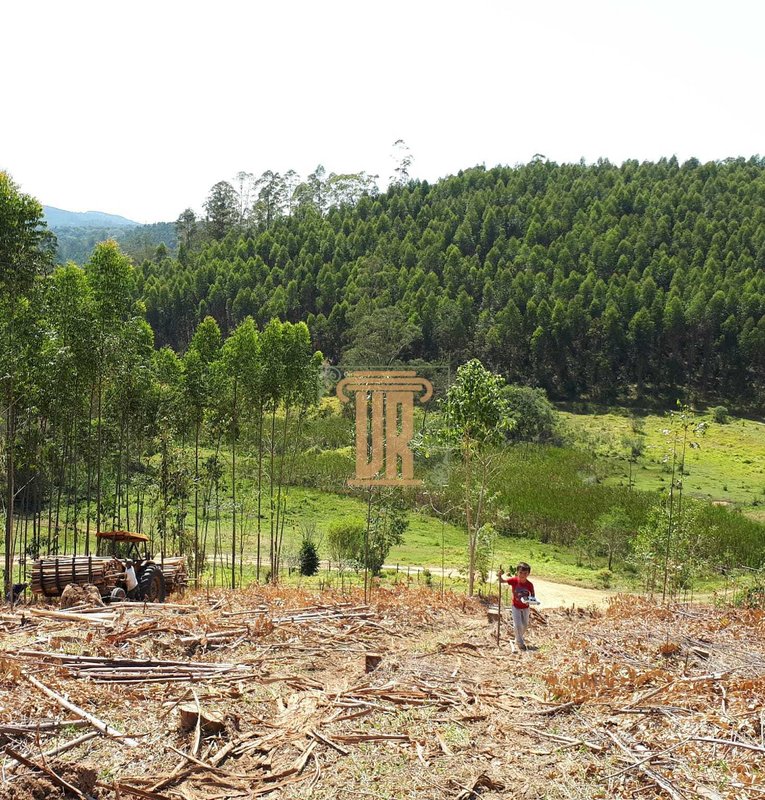 Sitio de 22 alqueires em Salesópolis - SP  Salesópolis - 