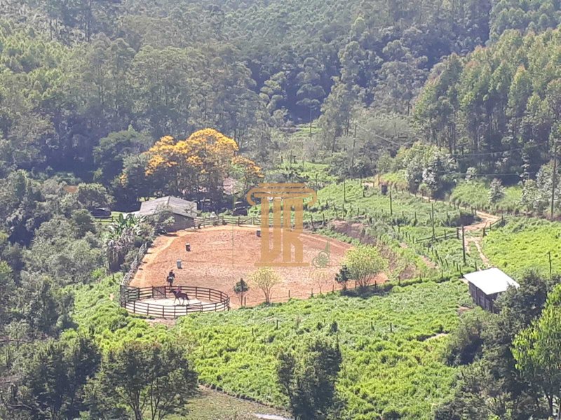 Sitio de 22 alqueires em Salesópolis - SP  Salesópolis - 