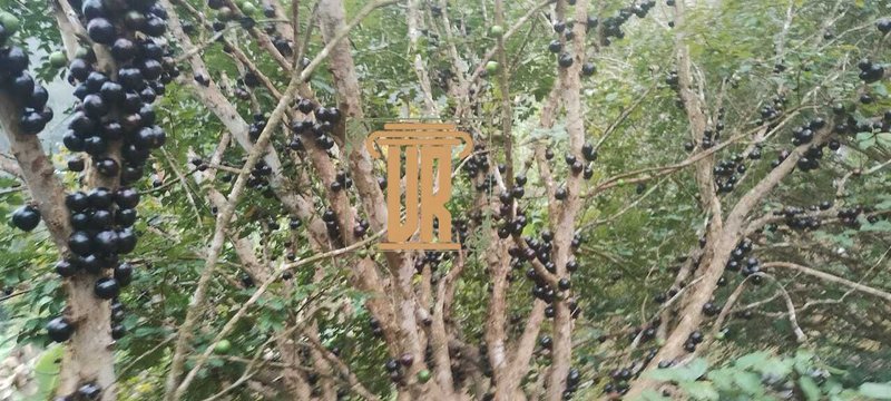 Chácara com 2.900m² na zona norte de São José dos Campos- SP Área Rural São José dos Campos - 