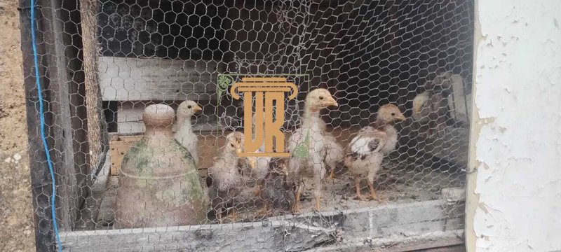 Chácara com 2.900m² na zona norte de São José dos Campos- SP Área Rural São José dos Campos - 