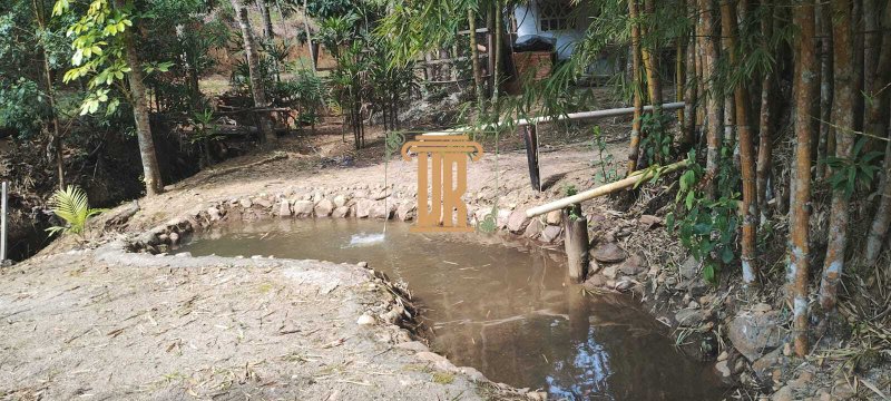 Sitio de 1 alqueire em Natividade da Serra - SP  NATIVIDADE DA SERRA - 