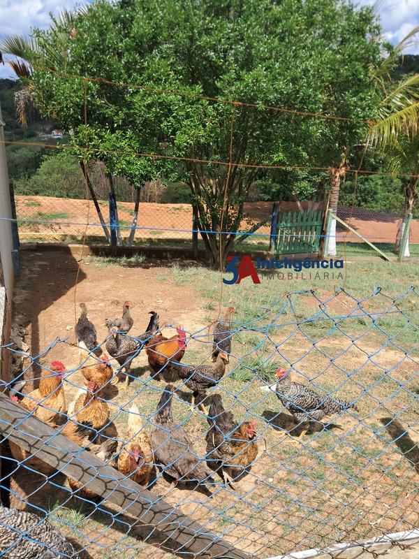 CHÁCARA 36.300m² – PIEDADE  Piedade - 