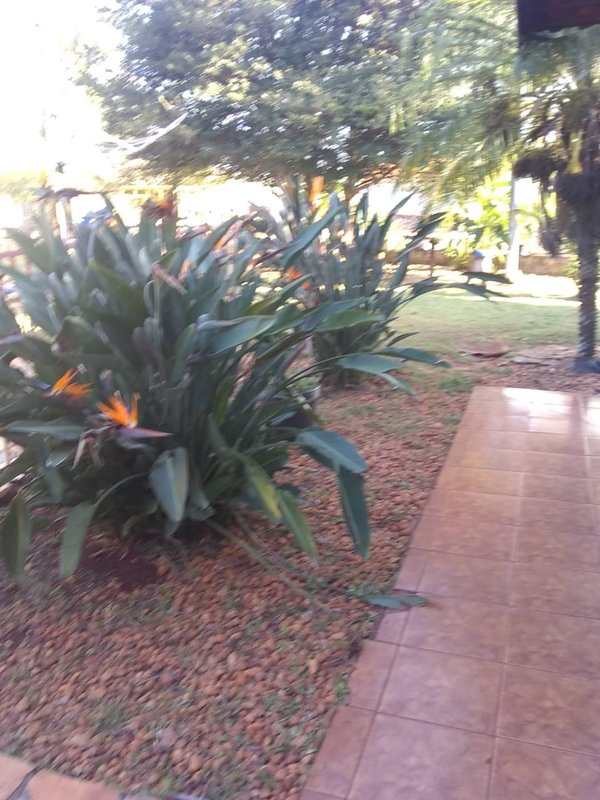 Chácara com 2 casa em alvenaria no bairro Chácara Santa Maria na cidade de Cambé no Paraná  Cambé - 