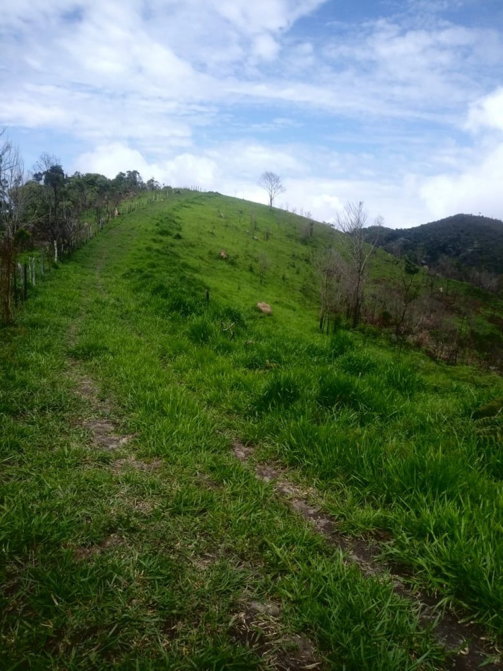 Sítio, 48 hectares - Foto 9