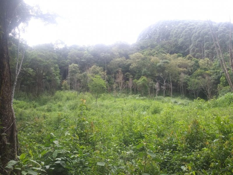 Chácara com 18 alqueires à venda em Guaratinguetá Rua Francisco Santos Reis Guaratinguetá - 