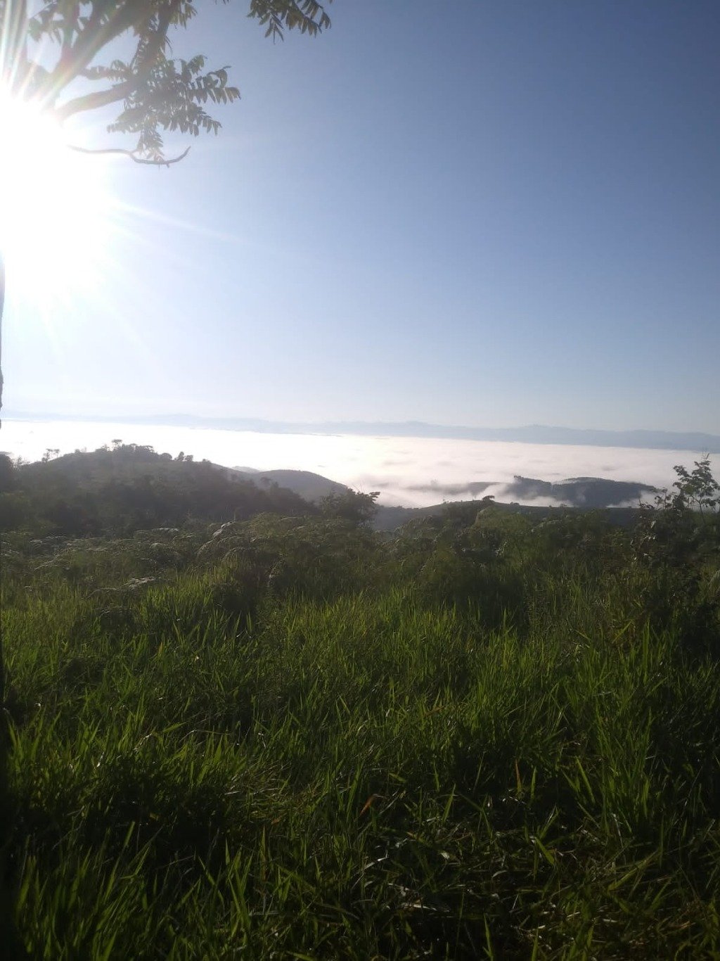 Sítio, 48 hectares - Foto 12