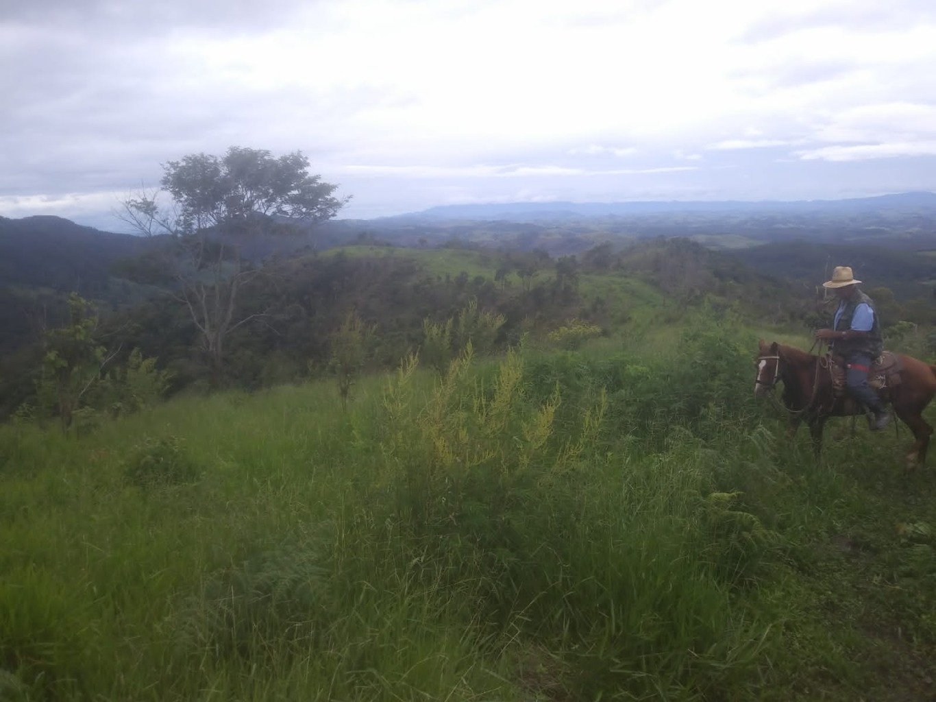 Sítio, 48 hectares - Foto 1