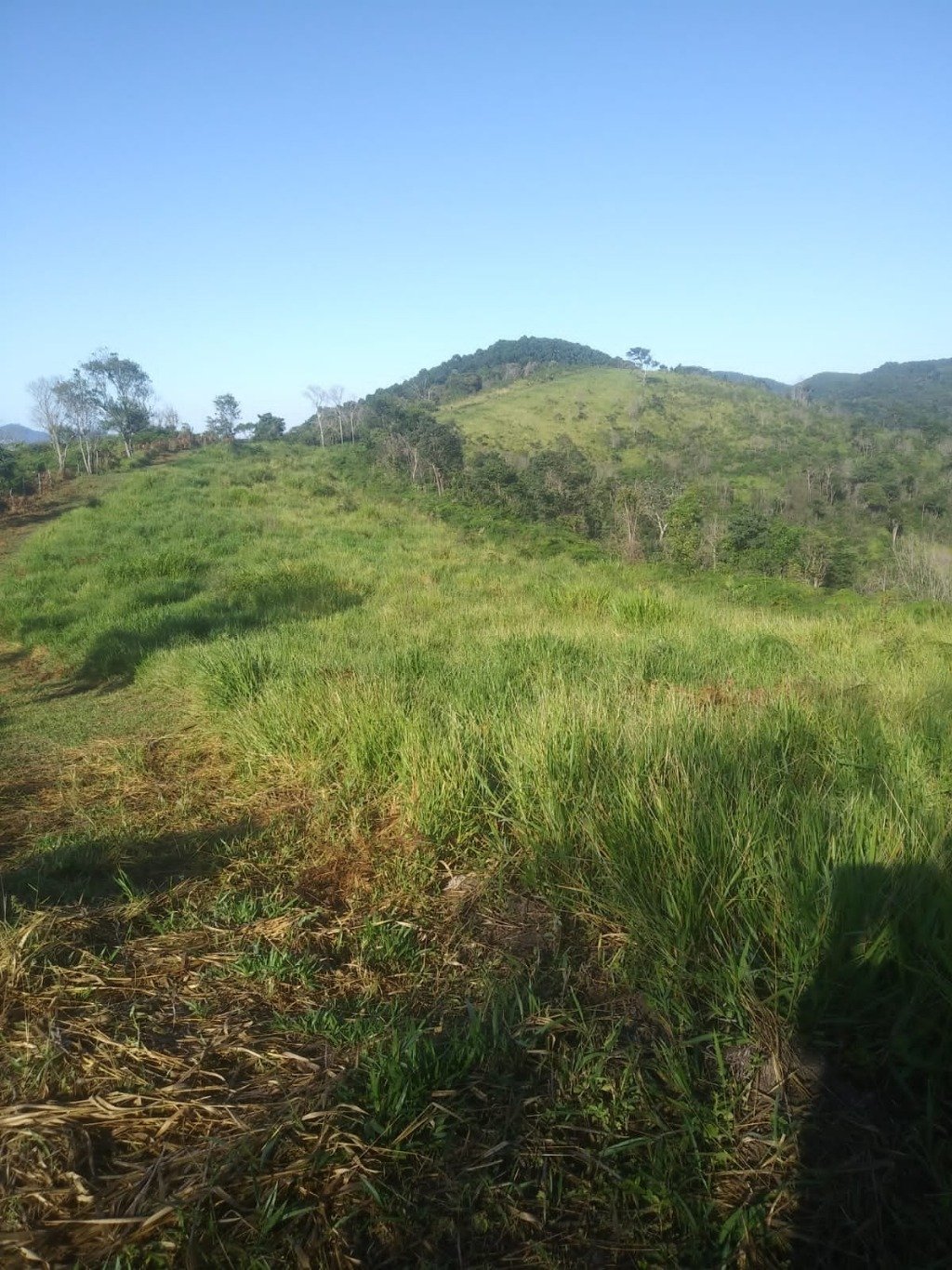 Sítio, 48 hectares - Foto 10